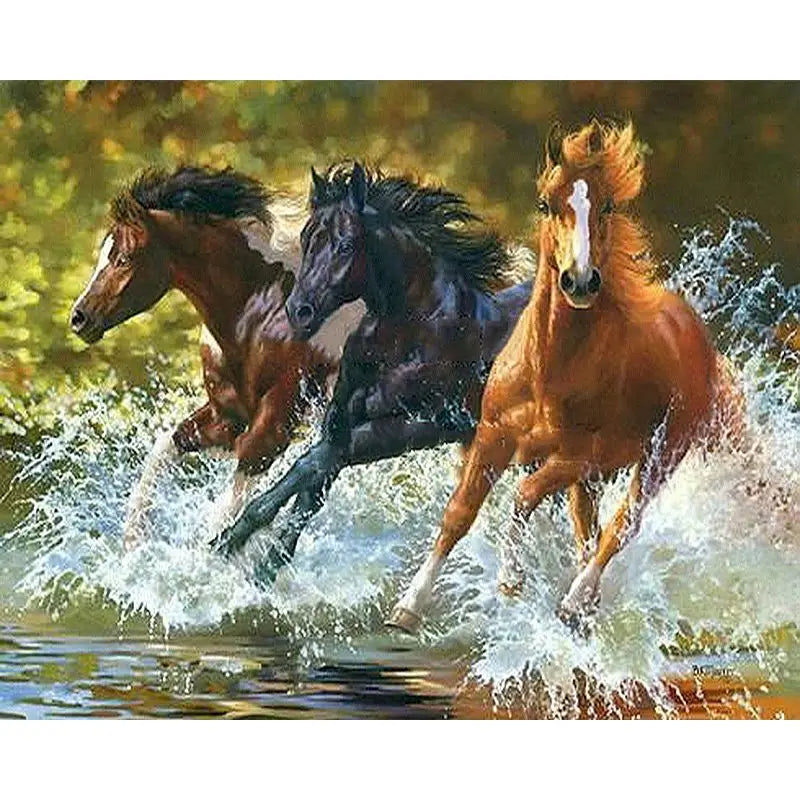 Animal Paint By Numbers