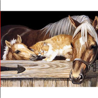Animal Paint By Numbers
