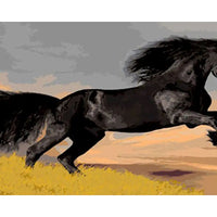 Animal Paint By Numbers