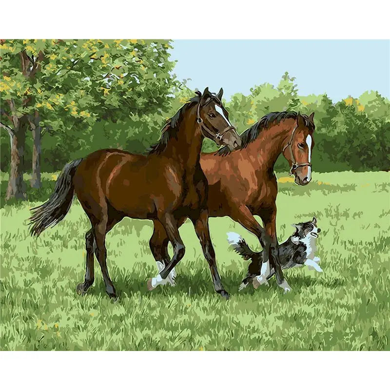 Animal Paint By Numbers