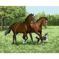 Animal Paint By Numbers