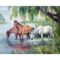 Animal Paint By Numbers