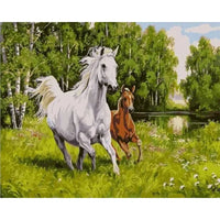 Animal Paint By Numbers