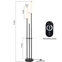 Dimmable Shelf Floor Lamp