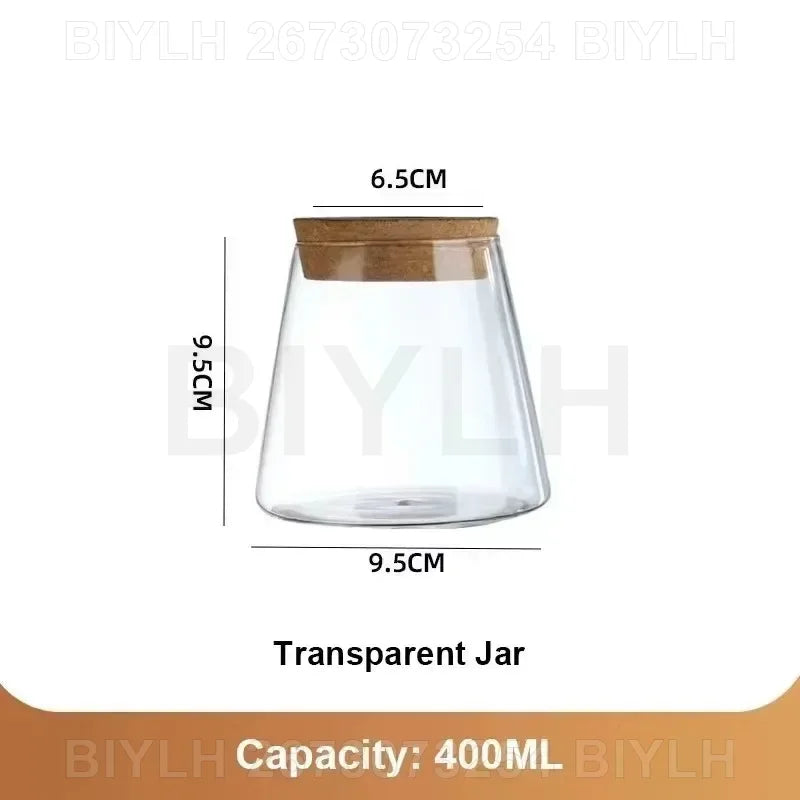 Glass Hydroponic Plant Vases