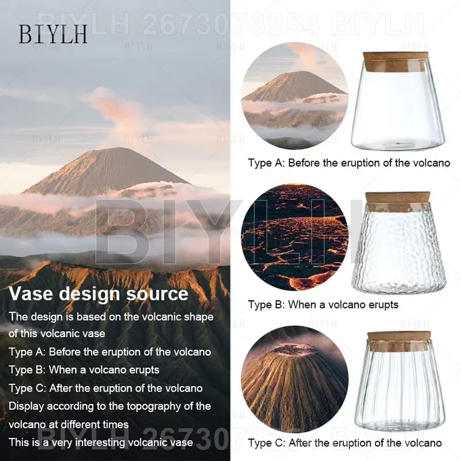 Glass Hydroponic Plant Vases