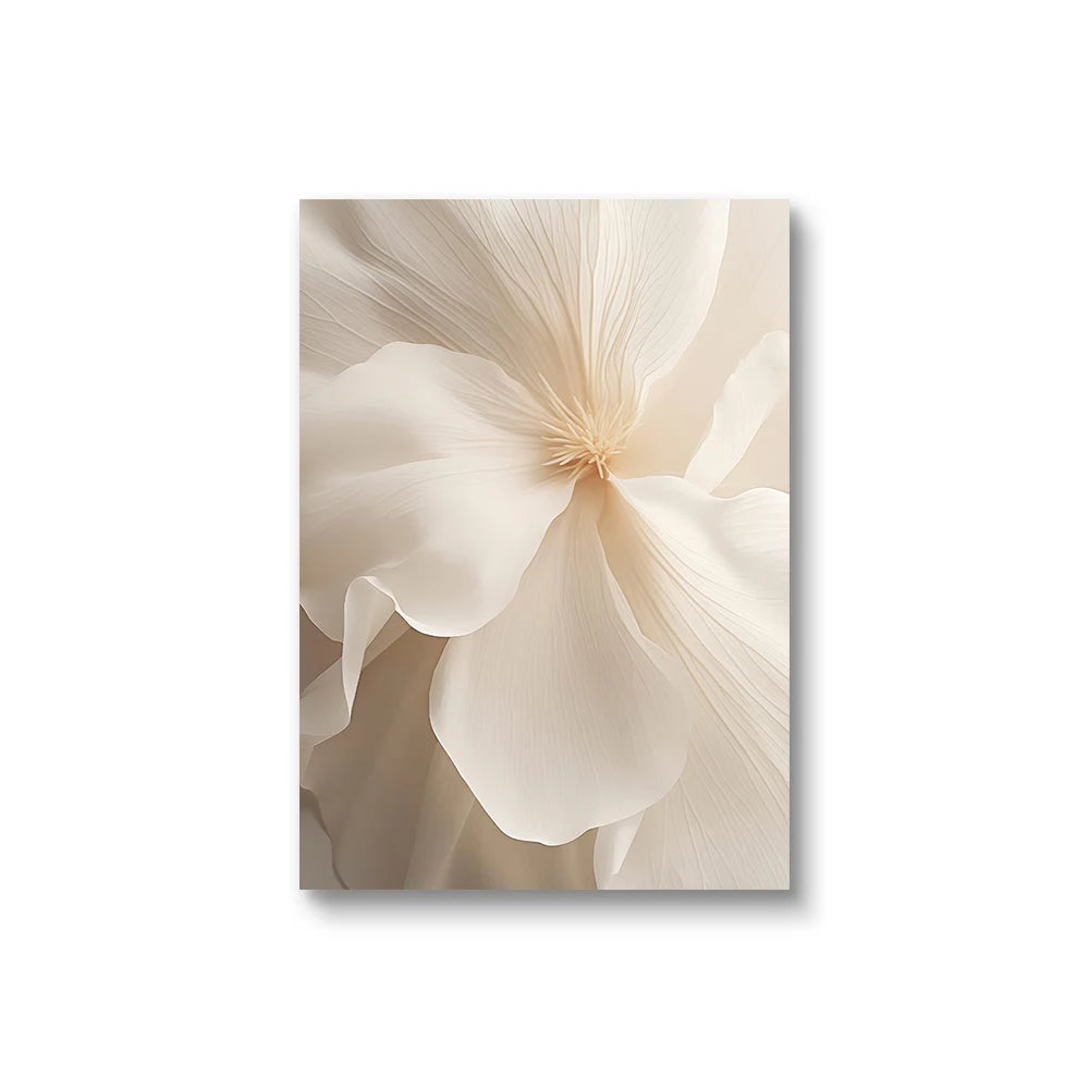 Beige Peony Canvas Prints