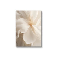 Beige Peony Canvas Prints