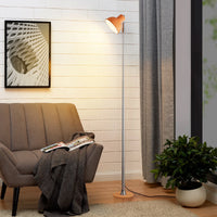 Telescopic Dimmable Floor Lamp