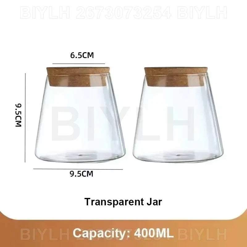 Glass Hydroponic Plant Vases