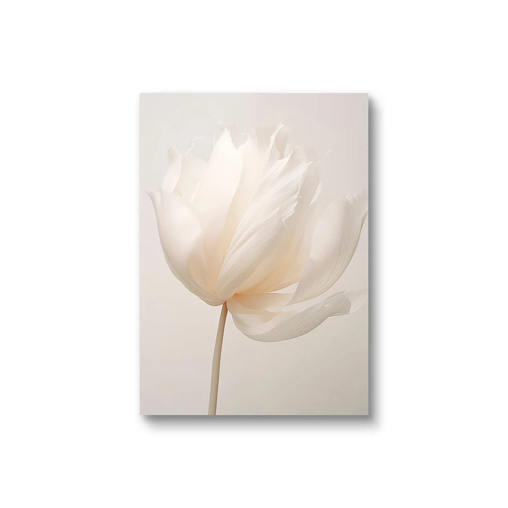 Beige Peony Canvas Prints