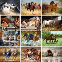 Animal Paint By Numbers