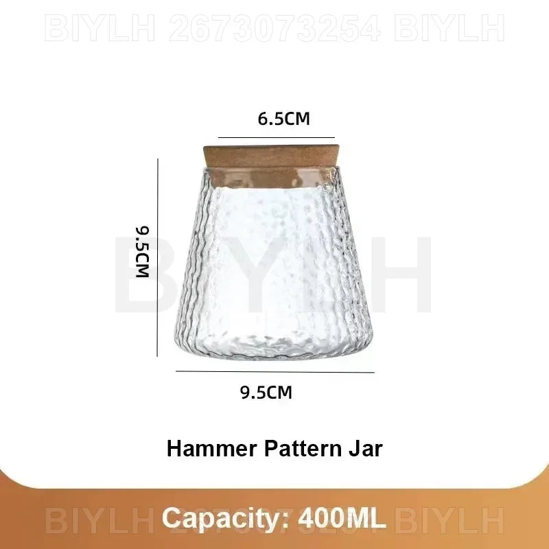Glass Hydroponic Plant Vases