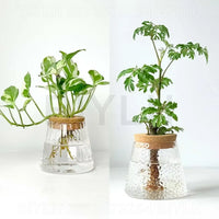 Glass Hydroponic Plant Vases