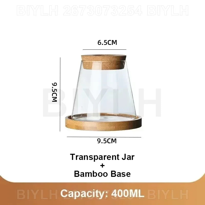 Glass Hydroponic Plant Vases